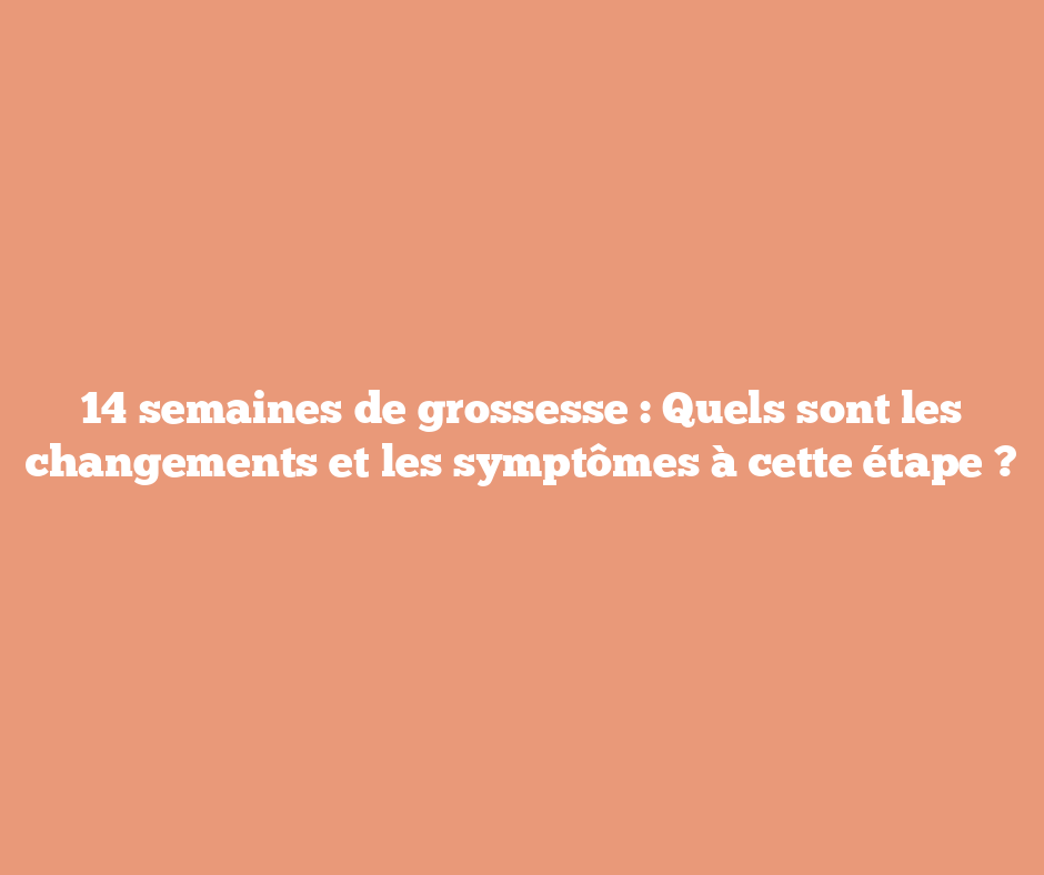 14 semaines de grossesse : Quels sont les changements et les symptômes à cette étape ?