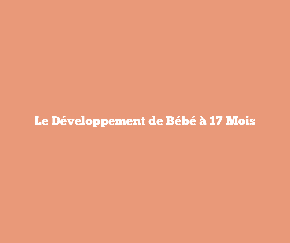 Le Développement de Bébé à 17 Mois