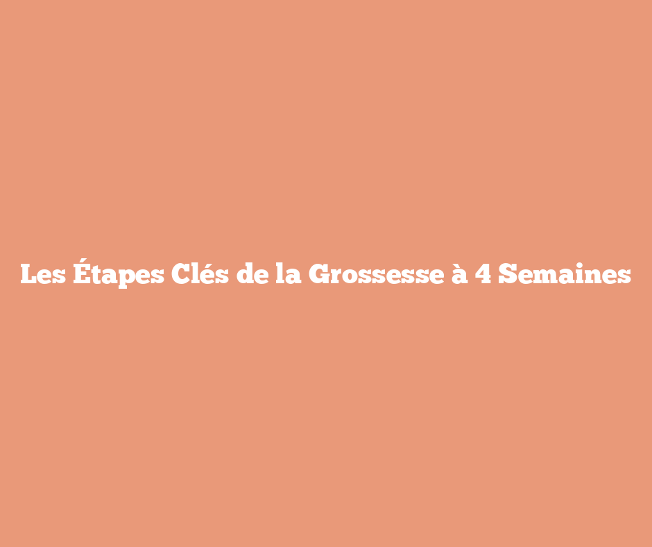 Les Étapes Clés de la Grossesse à 4 Semaines