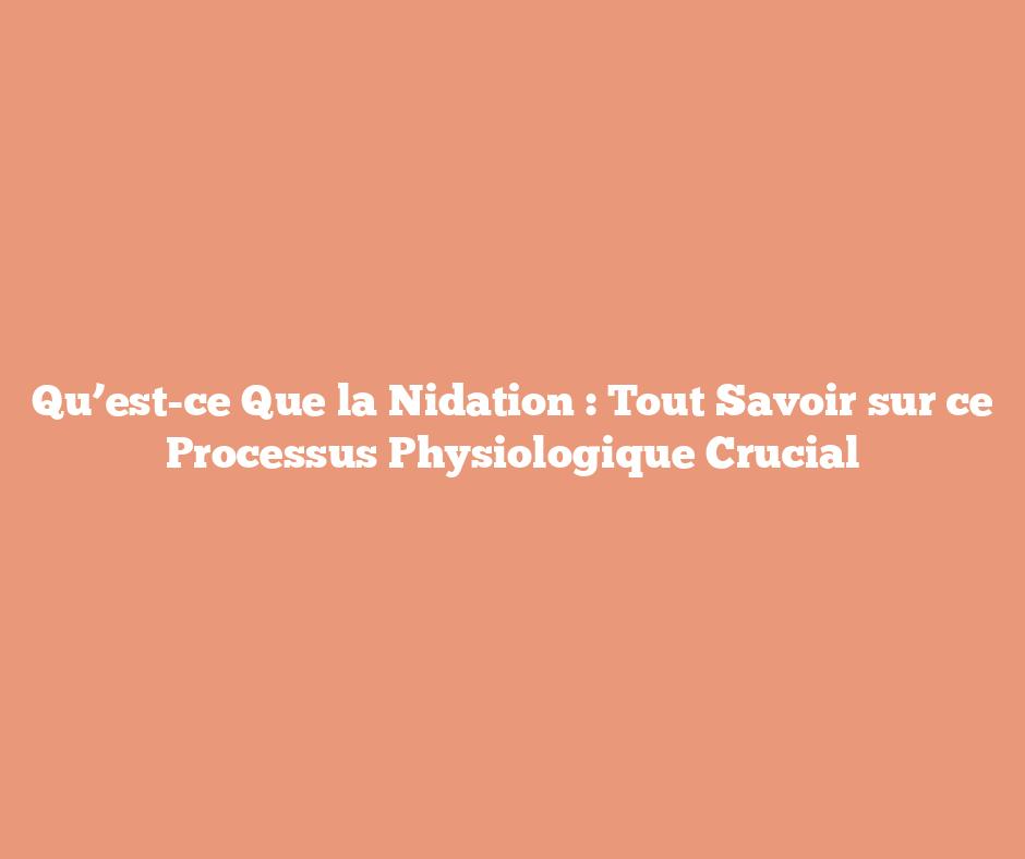 Qu’est-ce Que la Nidation : Tout Savoir sur ce Processus Physiologique Crucial